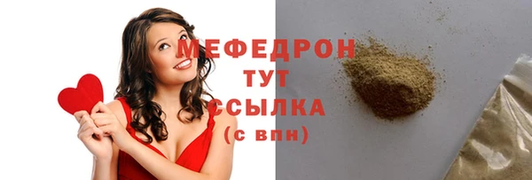 эйфоретик Няндома