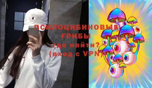 ПСИЛОЦИБИНОВЫЕ ГРИБЫ Алексеевка