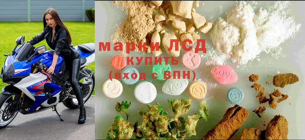шишки Алексин