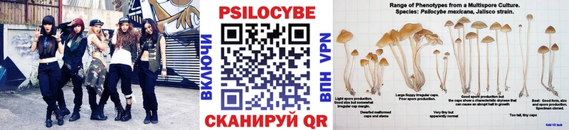 hydra ссылка  Лукоянов  Псилоцибиновые грибы Magic Shrooms 